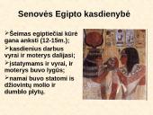 Egipto civilizacija ir Nilo upė 7 puslapis