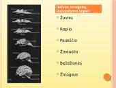 Psichologijos tyrimų sritys. Elgesys 3 puslapis