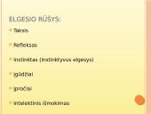 Psichologijos tyrimų sritys. Elgesys 4 puslapis