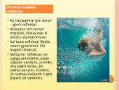 Psichologijos tyrimų sritys. Elgesys 7 puslapis