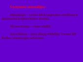 Endokrininių liaukų vystymosi anomalijos 17 puslapis