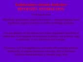 Endokrininių liaukų vystymosi anomalijos 4 puslapis