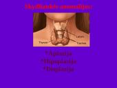 Endokrininių liaukų vystymosi anomalijos 7 puslapis