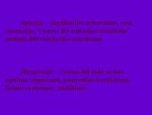 Endokrininių liaukų vystymosi anomalijos 8 puslapis