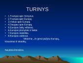 Viskas apie Europą 2 puslapis