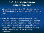 Europos integracijos istorija: nuo Romos iki Mastrichto sutarties 11 puslapis