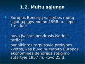 Europos integracijos istorija: nuo Romos iki Mastrichto sutarties 7 puslapis