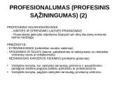 Europos Sąjungos (ES) šalių viešojo administravimo bendrieji principai 16 puslapis