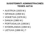 Europos Sąjungos (ES) šalių viešojo administravimo bendrieji principai 3 puslapis