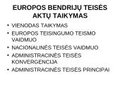 Europos Sąjungos (ES) šalių viešojo administravimo bendrieji principai 5 puslapis