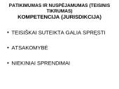 Europos Sąjungos (ES) šalių viešojo administravimo bendrieji principai 10 puslapis