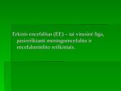 Flaviviridae šeima 2 puslapis