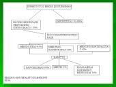 Flaviviridae šeima 11 puslapis