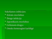 Flaviviridae šeima 12 puslapis