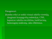 Flaviviridae šeima 13 puslapis