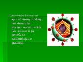 Flaviviridae šeima 3 puslapis