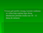 Flaviviridae šeima 4 puslapis