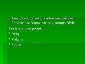 Flaviviridae šeima 6 puslapis