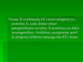 Flaviviridae šeima 8 puslapis