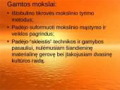 Gamtamokslinio ugdymo naujos idėjos švietimo reformos konceptualiuose dokumentuose 2 puslapis