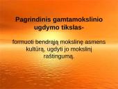 Gamtamokslinio ugdymo naujos idėjos švietimo reformos konceptualiuose dokumentuose 4 puslapis