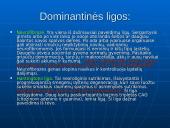 Genetikos sąvokos 11 puslapis