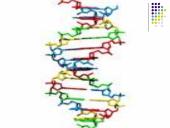 Genetikos sąvokos 12 puslapis