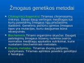Genetikos sąvokos 13 puslapis