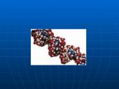 Genetikos sąvokos 3 puslapis