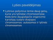 Genetikos sąvokos 4 puslapis