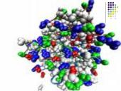 Genetikos sąvokos 8 puslapis