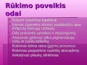 Gražios odos priešai 11 puslapis