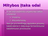 Gražios odos priešai 12 puslapis