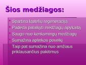 Gražios odos priešai 16 puslapis