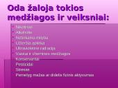 Gražios odos priešai 5 puslapis