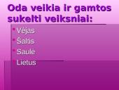 Gražios odos priešai 8 puslapis