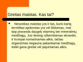 Greitas maistas. Projektas: "Greitą maistą vartoji - trumpiau gyventi rizikuoji" 2 puslapis