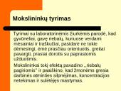 Greitas maistas. Projektas: "Greitą maistą vartoji - trumpiau gyventi rizikuoji" 14 puslapis