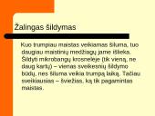 Greitas maistas. Projektas: "Greitą maistą vartoji - trumpiau gyventi rizikuoji" 5 puslapis