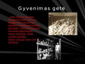 Holokausto tragedija 15 puslapis