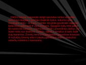 Holokausto tragedija 17 puslapis