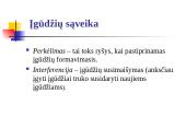 Įgūdžiai. Jų formavimasis 13 puslapis