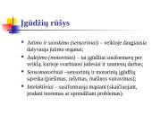 Įgūdžiai. Jų formavimasis 5 puslapis