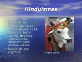 Indija bei jos charakteristika 11 puslapis