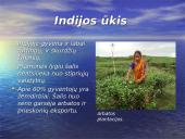 Indija bei jos charakteristika 14 puslapis