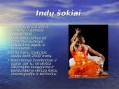 Indija bei jos charakteristika 8 puslapis