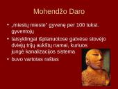 Indo civilizacija 3 puslapis