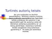 Informacijos ir duomenų saugumas. Autorių teisės 7 puslapis
