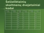 Informacijos kodavimas ir kam jis reikalingas? 12 puslapis