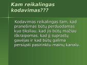 Informacijos kodavimas ir kam jis reikalingas? 3 puslapis